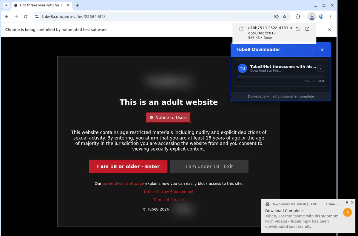 Tube 8 Video Downloader screenshot 3