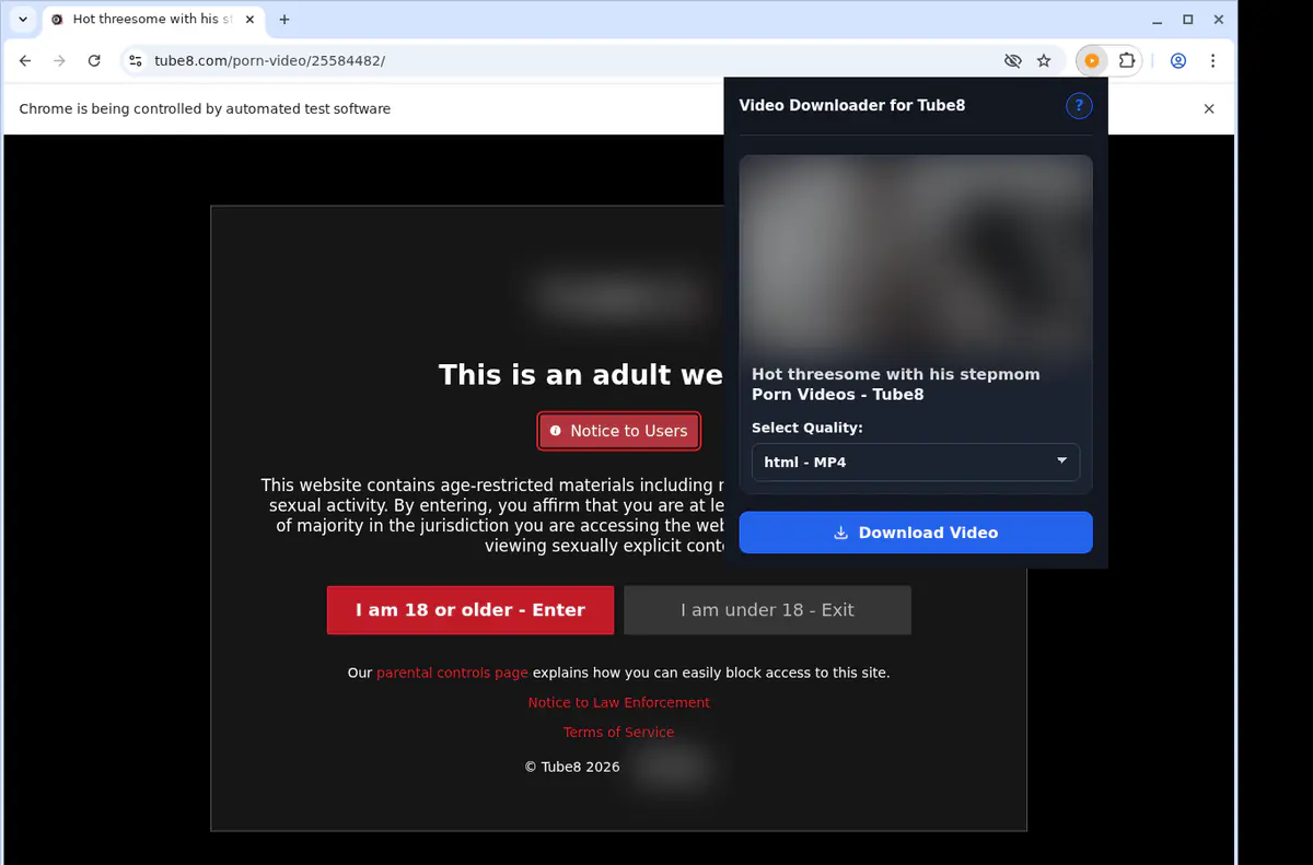 Tube 8 Video Downloader screenshot 4